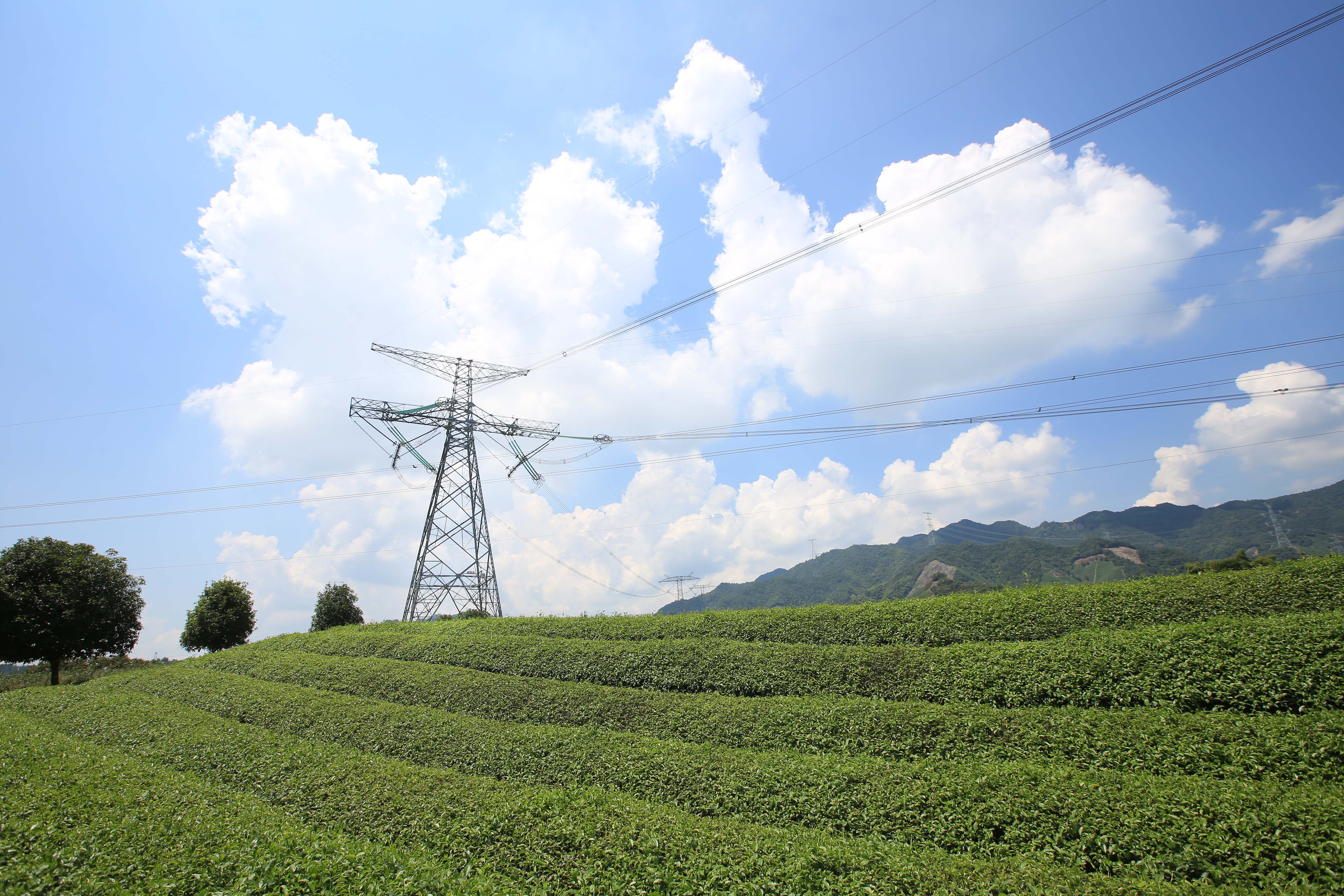 Ϫ���&mdash;����&plusmn;800kV�ظ߉�ֱ��ݔ늾�(xi��n)·